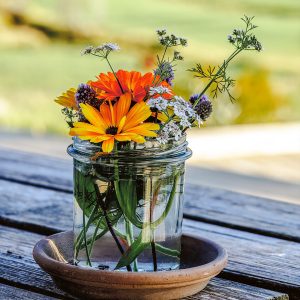 summers-short-grace-lofoten-wildflowers-still-life-fine-art
