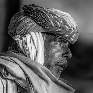 bishnoi-elder-profile-striped-turban-rajasthan-india