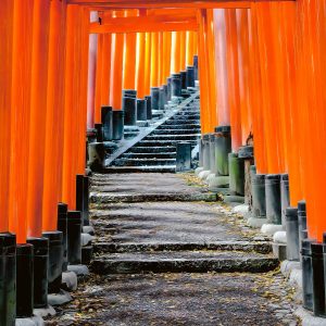 fushimi-inari-ascent-kyoto-japan-torii-gates-cultural-fine-art